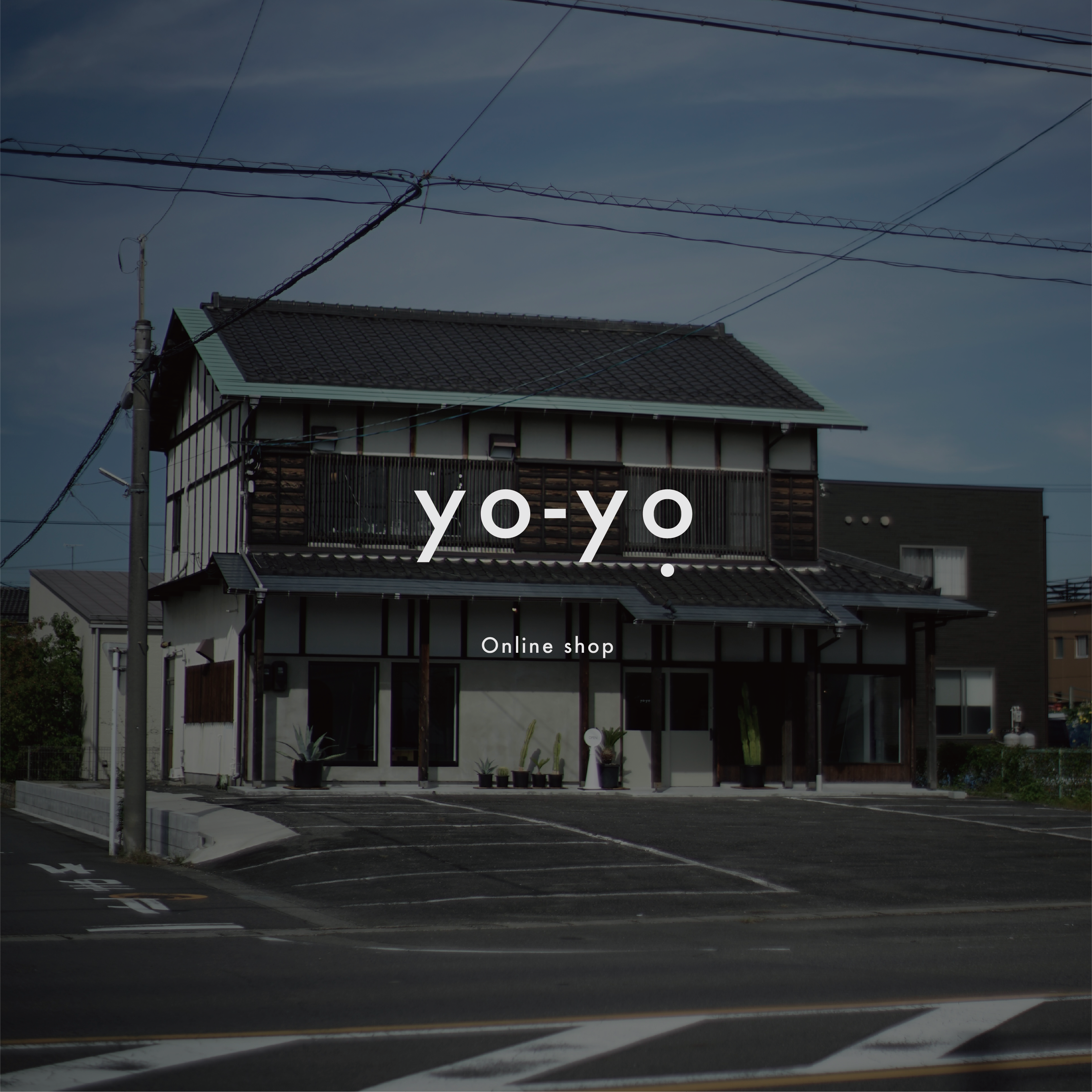 SHOPPING GUIDE – yo-yo. Online store